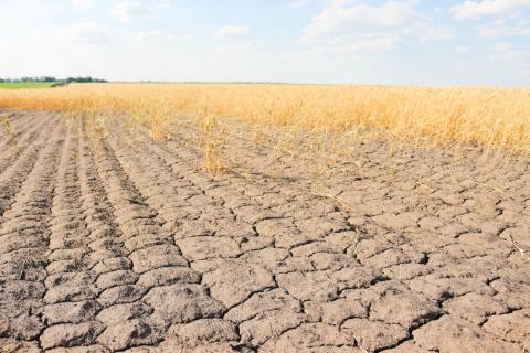 California drought