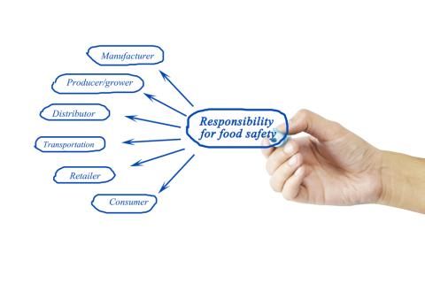 Food Safety Chain Main Image