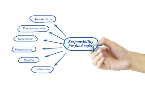 Food Safety Chain Main Image