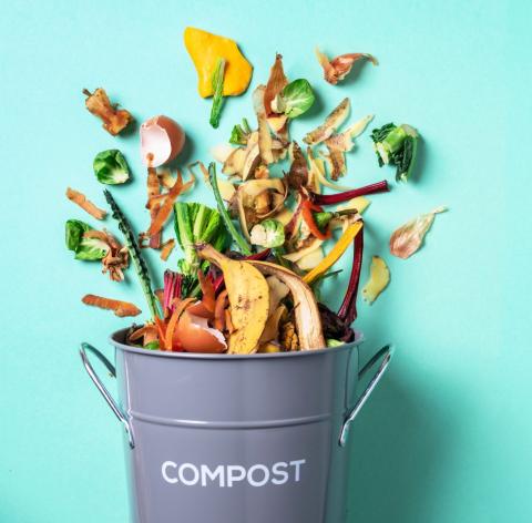 Supermarket Sustainability