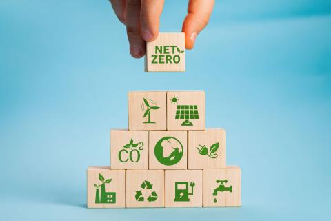 Supermarket Sustainability