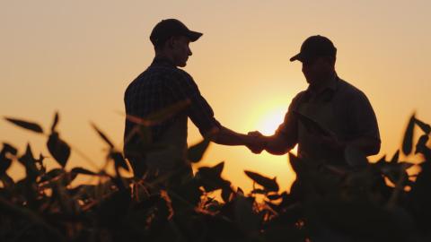 Farmers in the Field Main Image