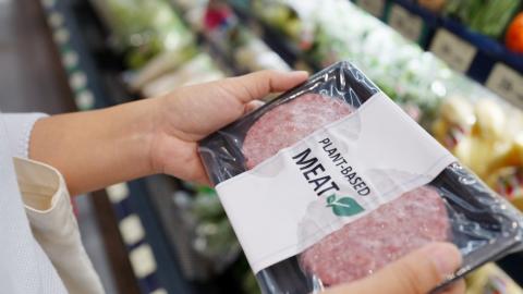 Plant-Based Meat