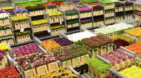 IFPA Floral