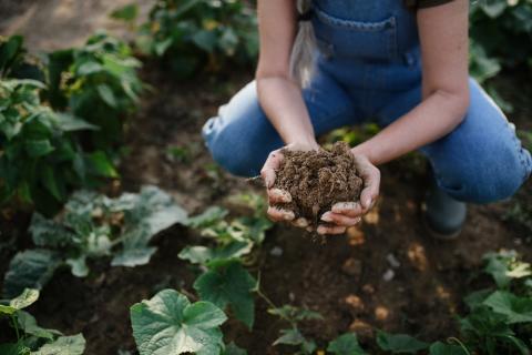 Regenerative Agriculture Main Image