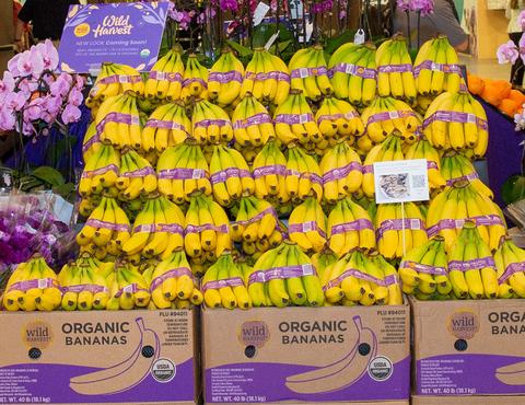 Wild harvest bananas