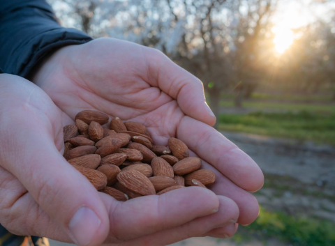KIND Snacks almonds