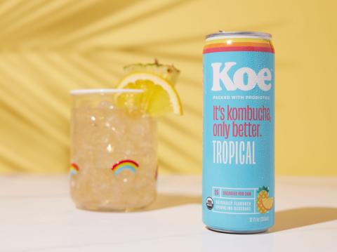 Koe Kombucha