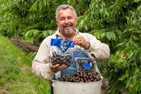 Stemilt Kyle's Pick Cherries Main Image