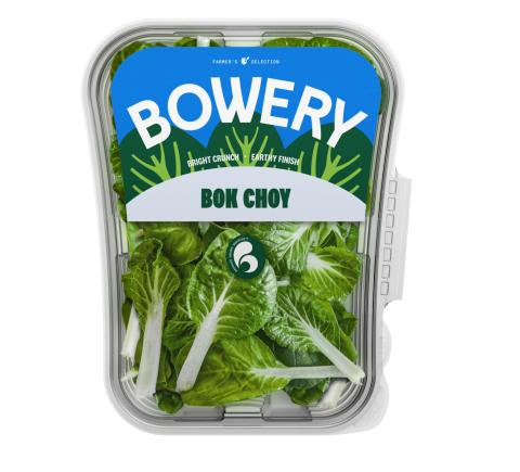 Bowery bok choy