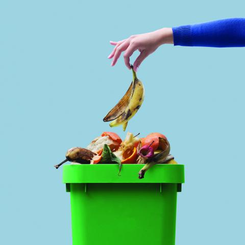 food waste