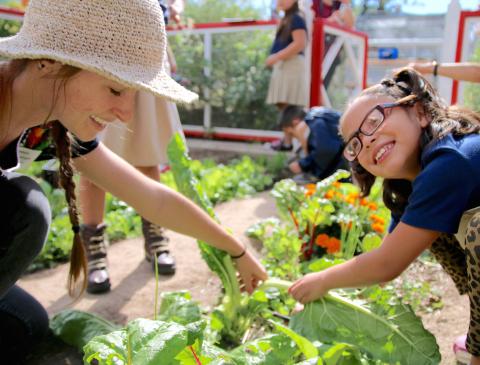 Sprouts School Gardens Main Image