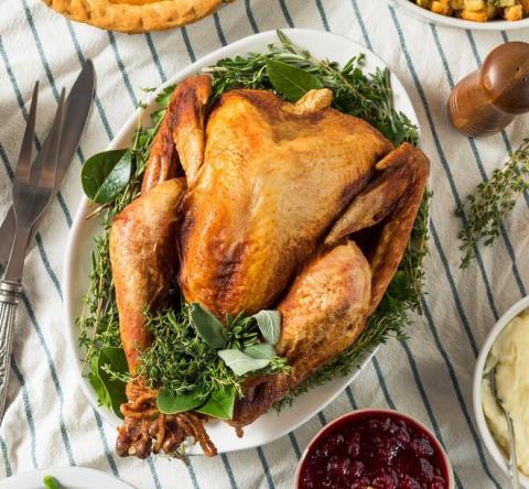 turkey