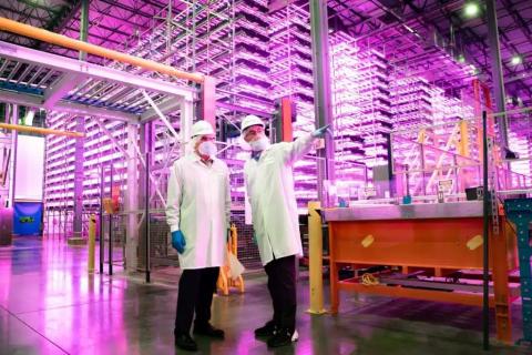 AeroFarms indoor facility