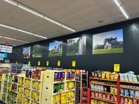 Save A Lot Special Buys Section Main Image