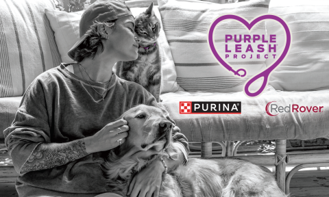 For Domestic Violence Victims and Their Pets, We Aren’t Backing Down