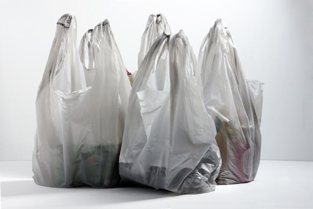 Wegmans Saying Goodbye to Plastic Bags Companywide | Progressive Grocer