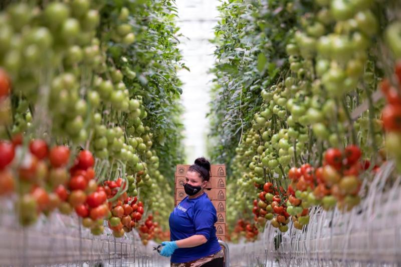 AppHarvest Secures $91M for High-Tech Indoor Farms 