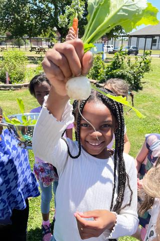 SEG Schoolyard Roots