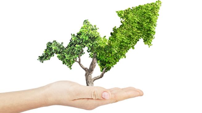 How To Drive ROI With Sustainability Efforts: Real World Lessons From ...