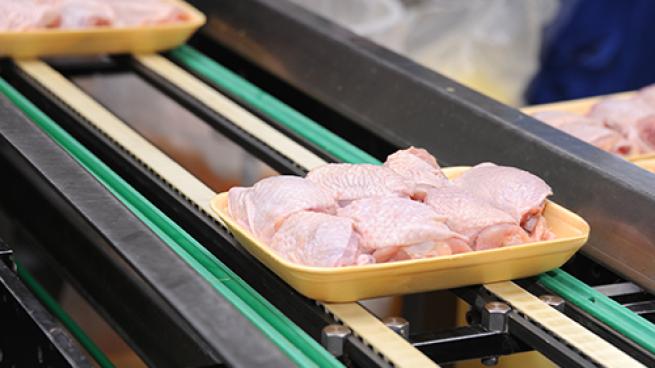 USDA Working to Reduce Salmonella Illnesses Linked to Poultry