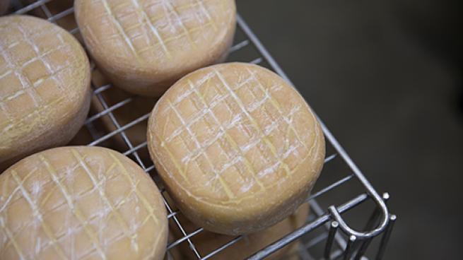 Murray's Cheese Cave Teaser