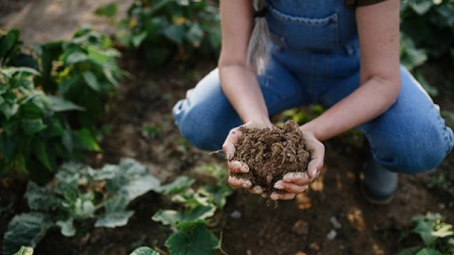 Regenerative Agriculture Teaser