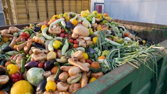 food waste teaser