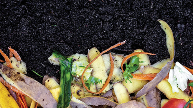 Fresh Retail Platform Helps Retailers Meet Sustainability Goals