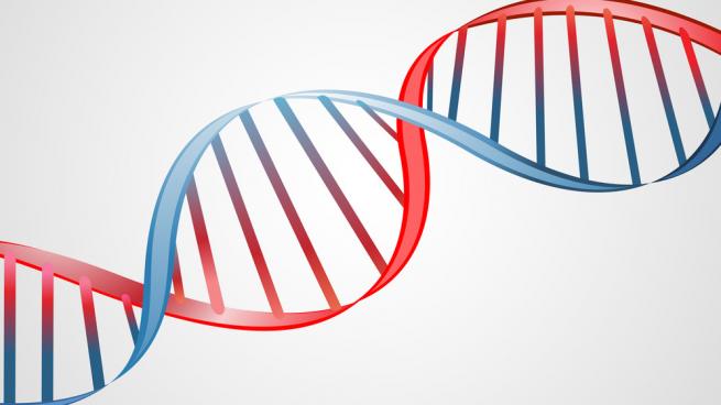 Expert Column: What’s Your Store DNA? | Progressive Grocer