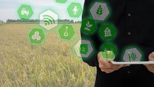 iOT agriculture