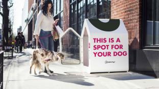 Albertsons Latest Grocer to Offer Doghouses for Shoppers' Pets