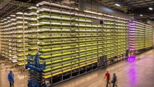 Vertical Farming Company to Be Publicly Traded 