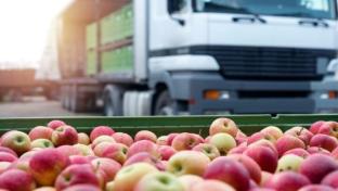 USDA Releases Framework to Improve Food Supply Chain