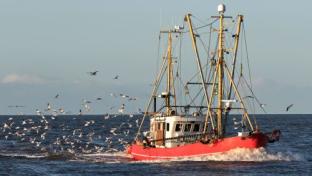 Sustainable fishing boat