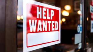 Unemployment Data Aug 2023