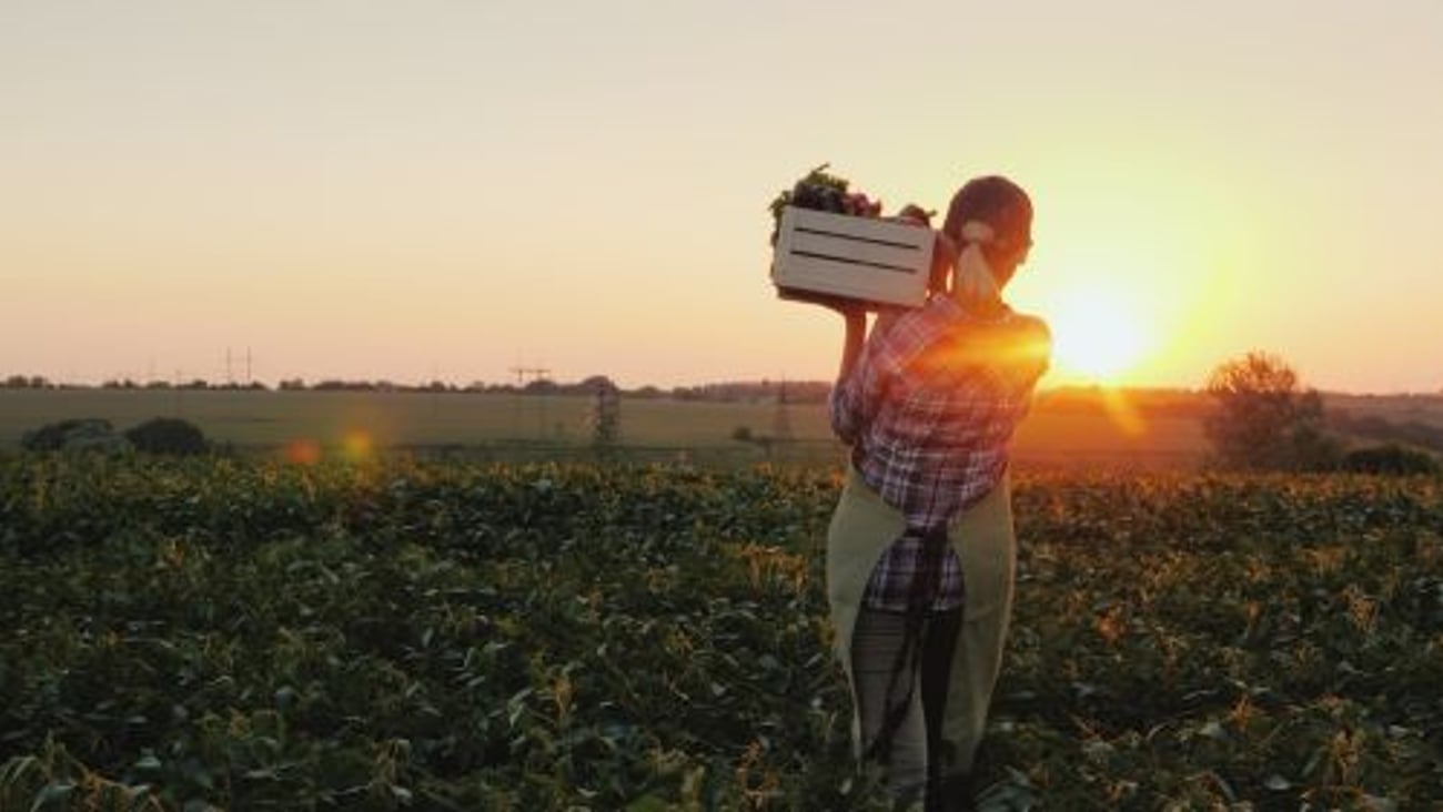 Natural Grocers Honors Organic Harvest Month in September