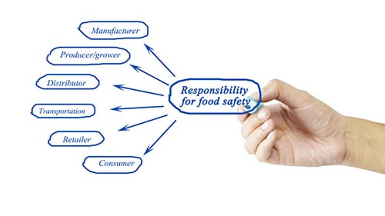 Food Safety Chain Teaser