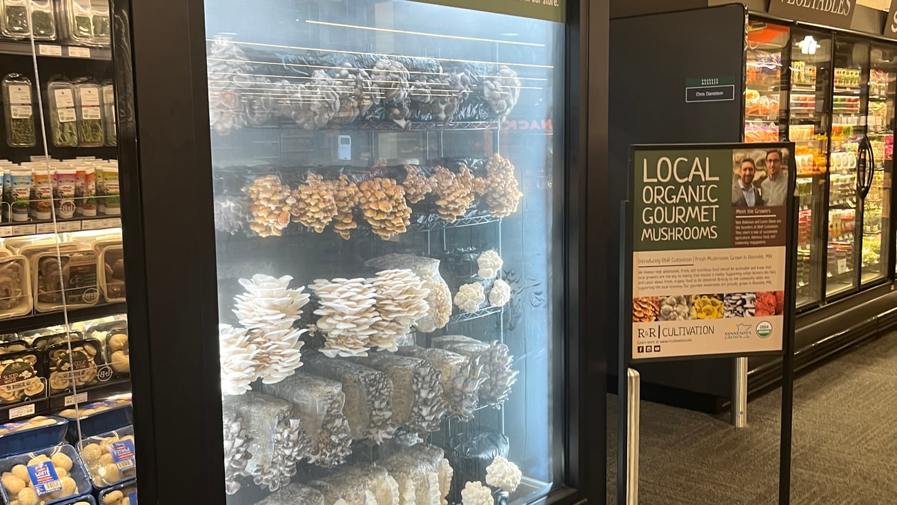 Lunds & Byerlys mushroom habitat