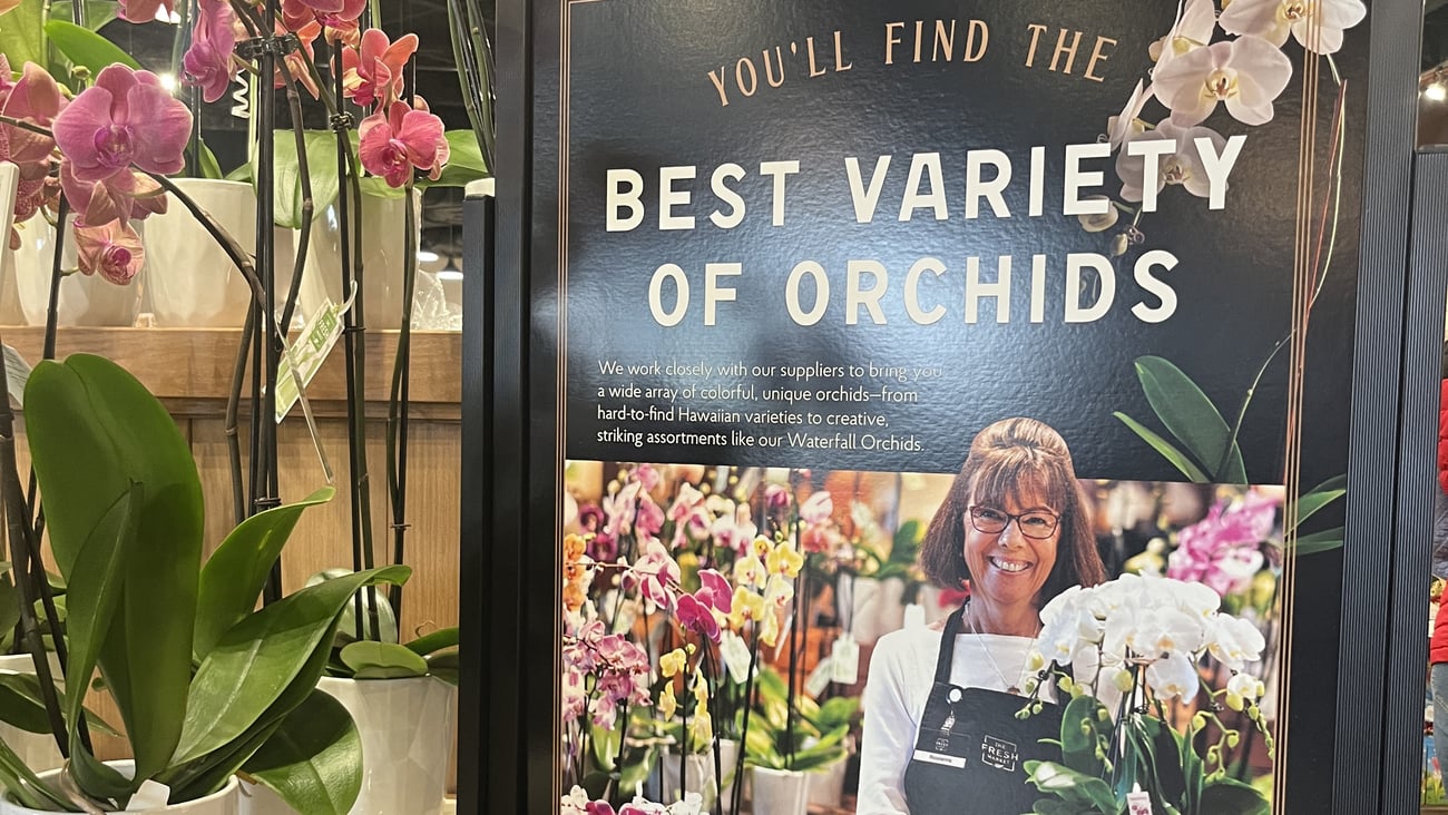 TFM orchids