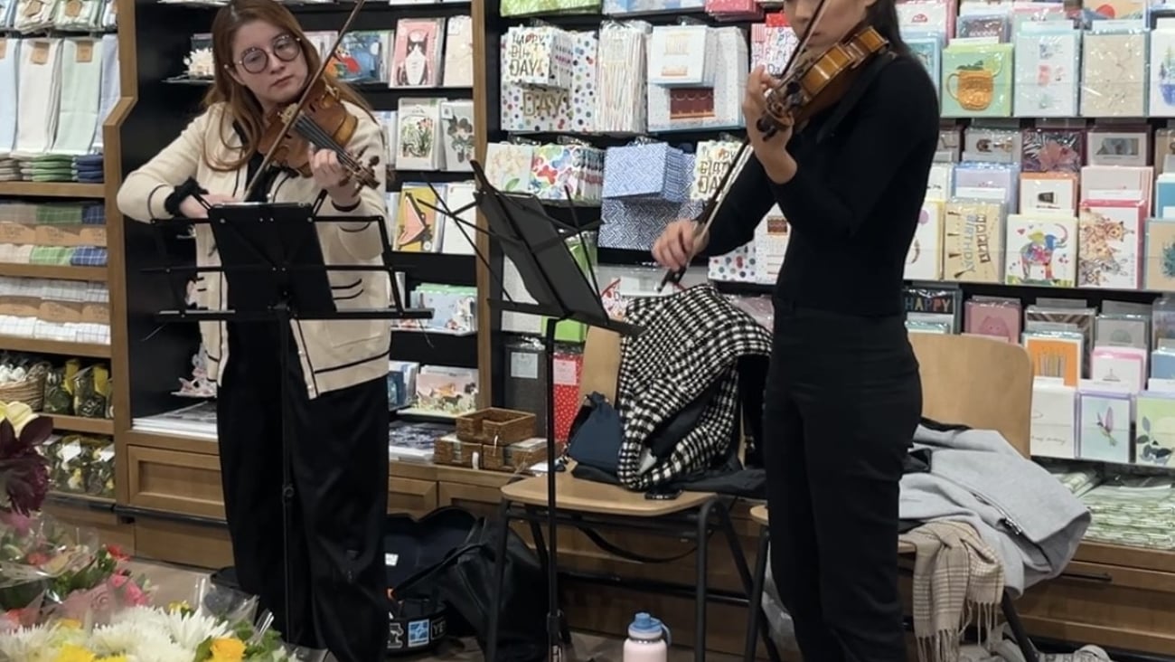 TFM violins
