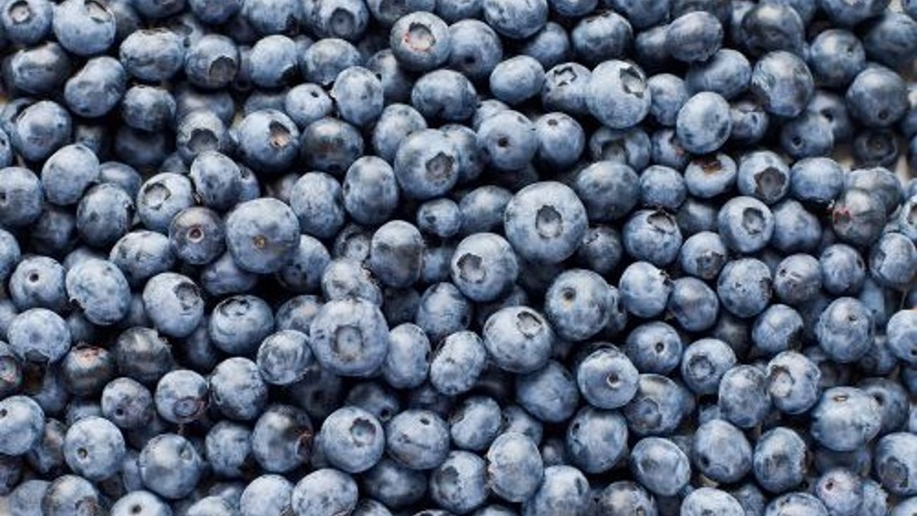 blueberry recall