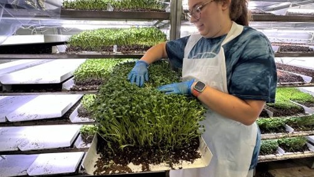 Wegmans Farming