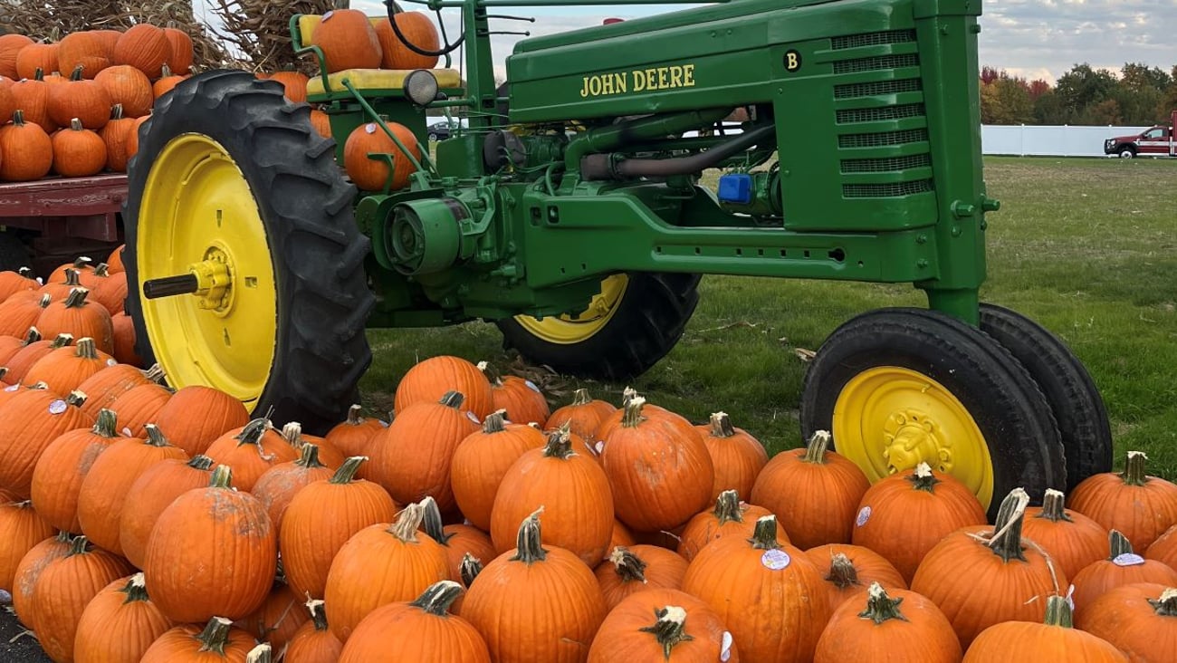 Jewel pumpkin