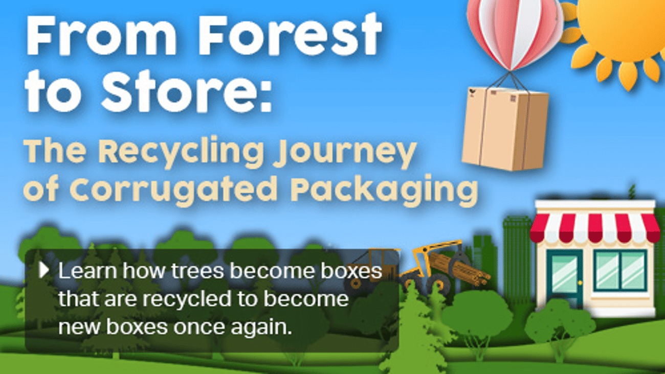 From_Forest_to_Store_The_recycling_Journey_of_Corrugated_Packaging