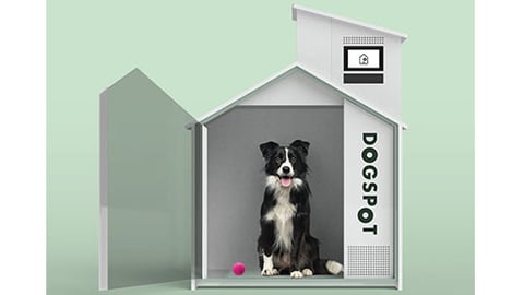 DogSpot Doghouses