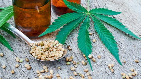 Grocers Should Be Looking to Leverage This $20B Opportunity CBD