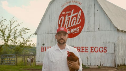 Egg Producer Vital Farms Hatches IPO Plan