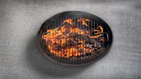 Kingsford Debuts DTC Charcoal