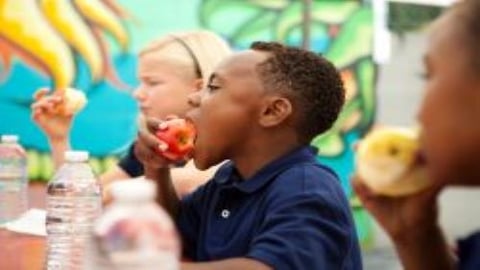 Food Lion Feeds Supports No Kid Hungry Campaign 